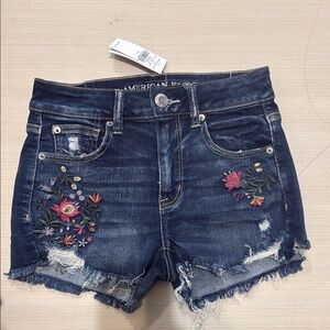 American Eagle Outfitters Blue Distressed Jean Shorts
